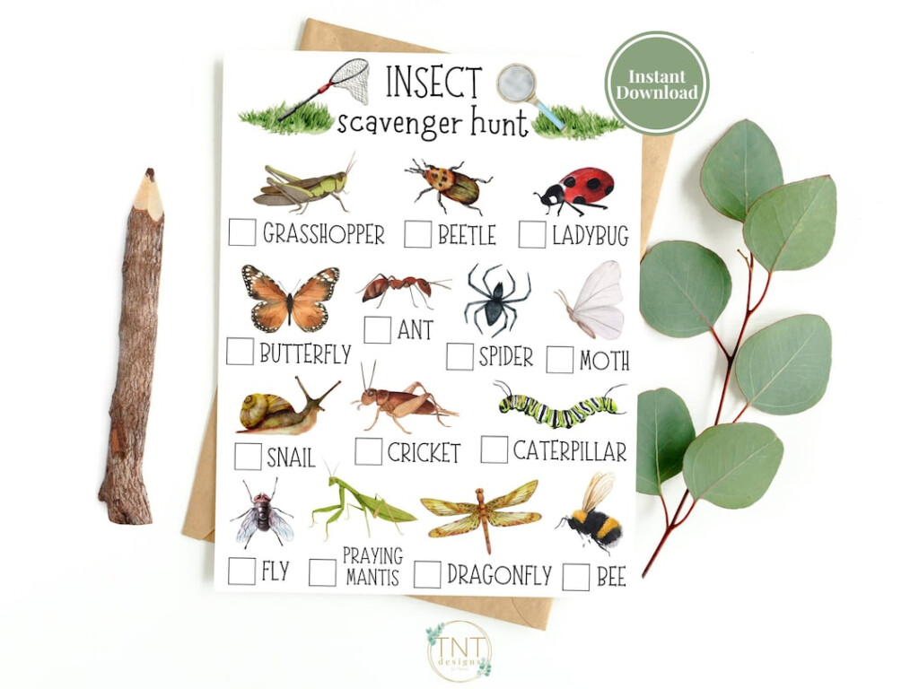 Bug Scavenger Hunt Printable Scavenger Hunt Nature Etsy