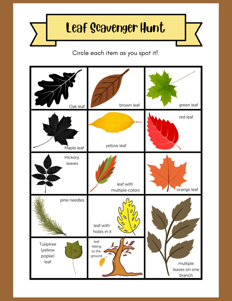 Leaf Scavenger Hunt Downloadable PDF Etsy