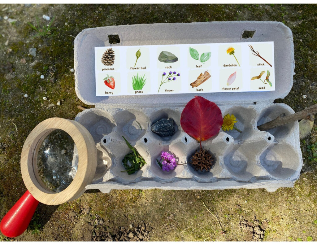 Printable Nature Scavenger Hunt Egg Carton Nature Hunt Spring Nature 
