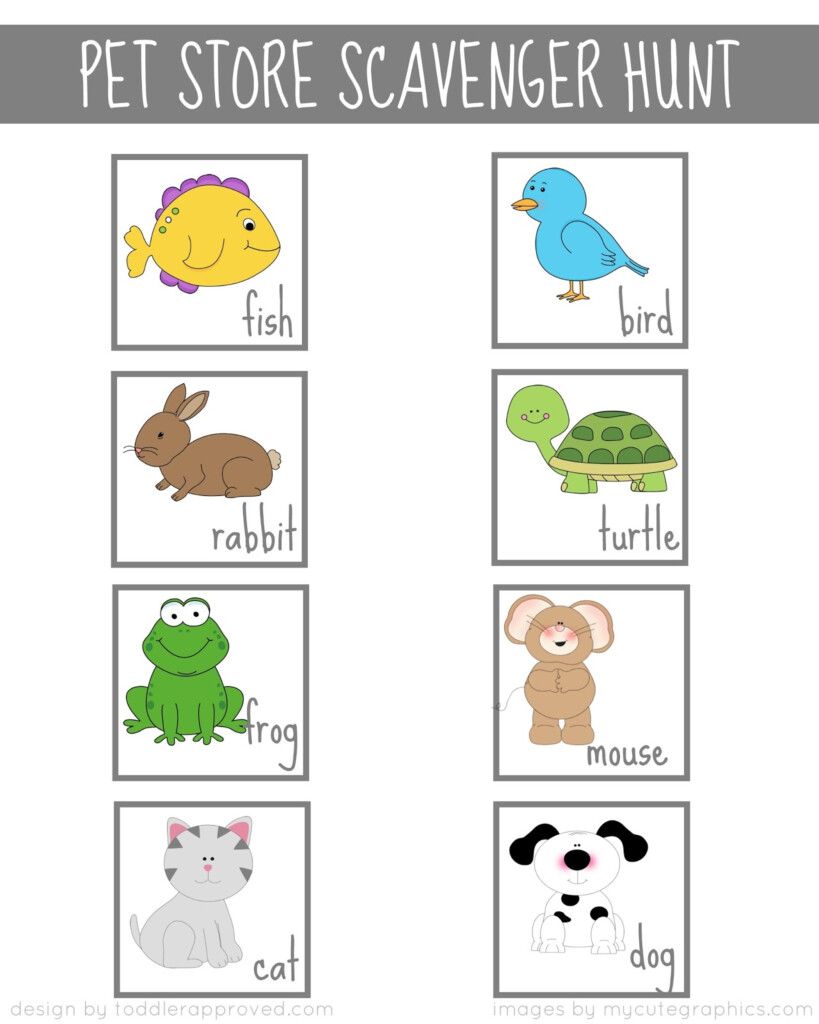 Toddler Approved Pet Store Scavenger Hunt