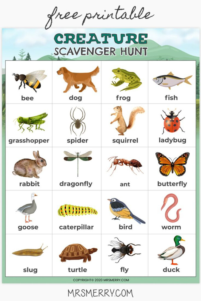 Animal Scavenger Hunt Printable Free