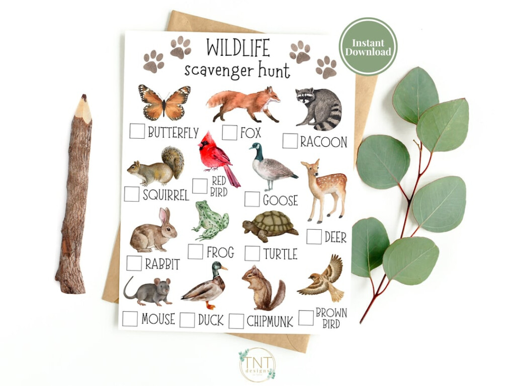 Animal Scavenger Hunt Printable Scavenger Hunt Nature Scavenger Hunt 