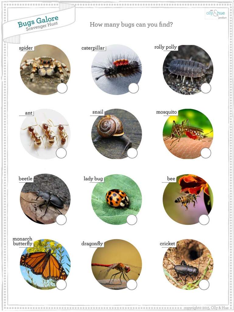 Bug Scavenger Hunt Printable