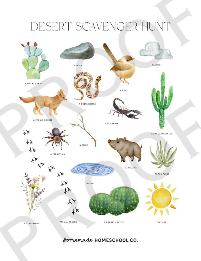 Desert Scavenger Hunt Printable Etsy