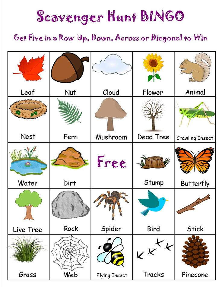 Forest Scavenger Hunt Printable Free
