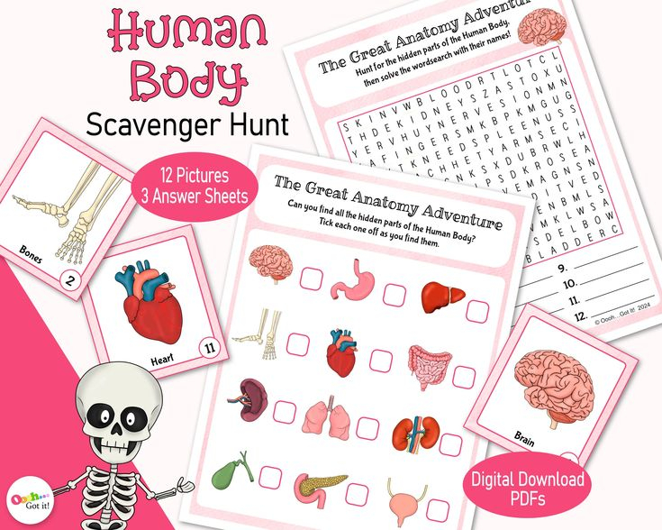 Human Body Picture Scavenger Hunt A Printable Anatomy Family Game For 