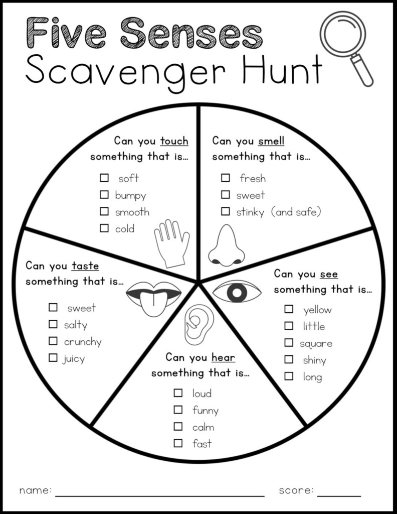 Indoor Scavenger Hunts With Pictures 12 Versions Printable Download 