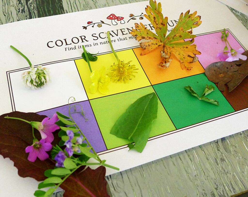 Nature Color Scavenger Hunt Printable Kids Activity Party Game INSTANT 