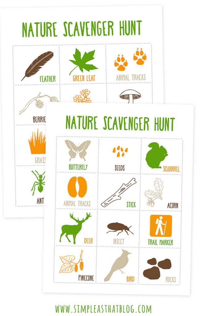 Nature Scavenger Hunt Printable