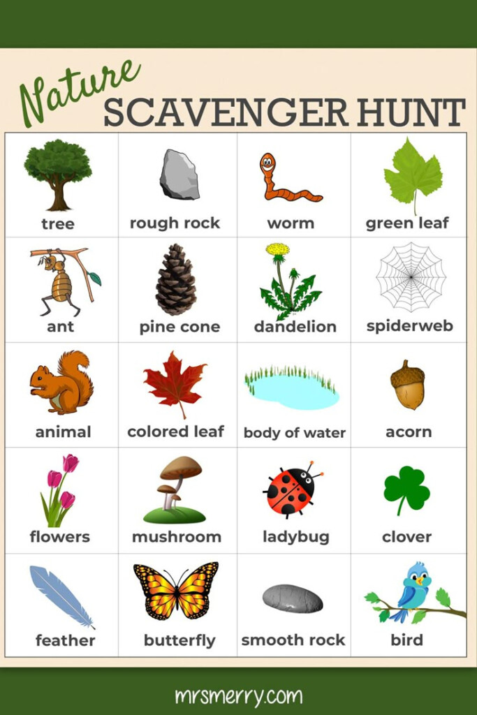 Nature Scavenger Hunt Printable For Toddlers
