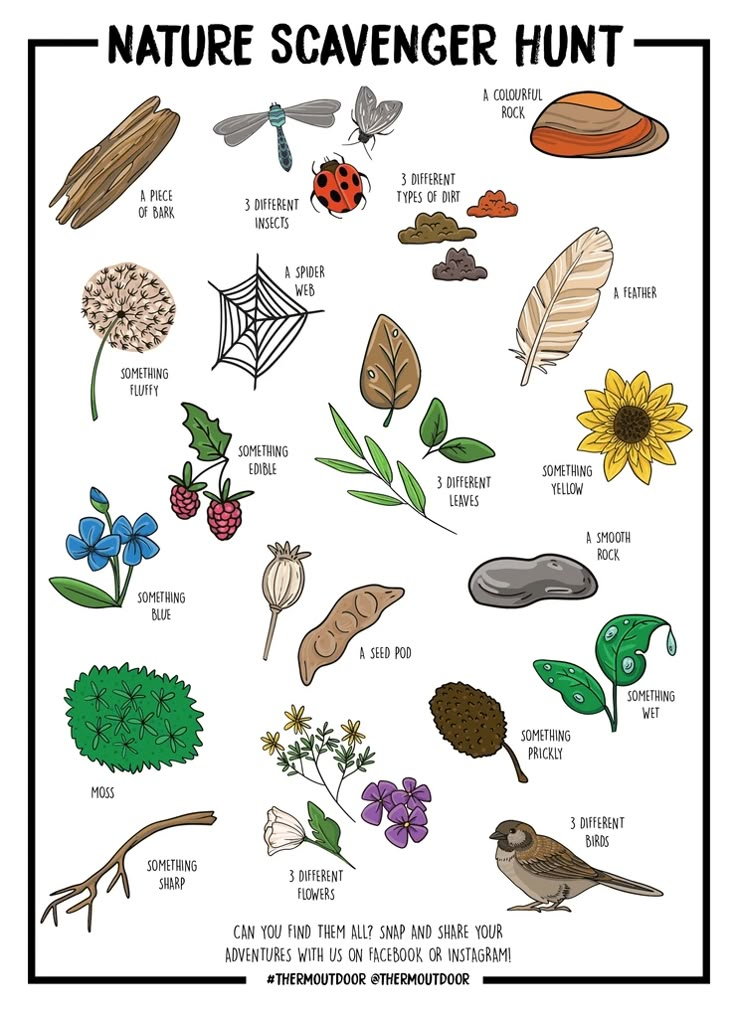 Nature Scavenger Hunt Printable Free