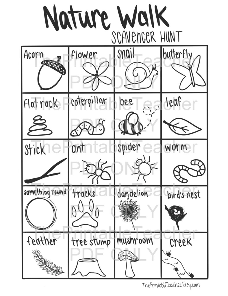 Nature Walk Scavenger Hunt Printable PDF Coloring Sheet Etsy