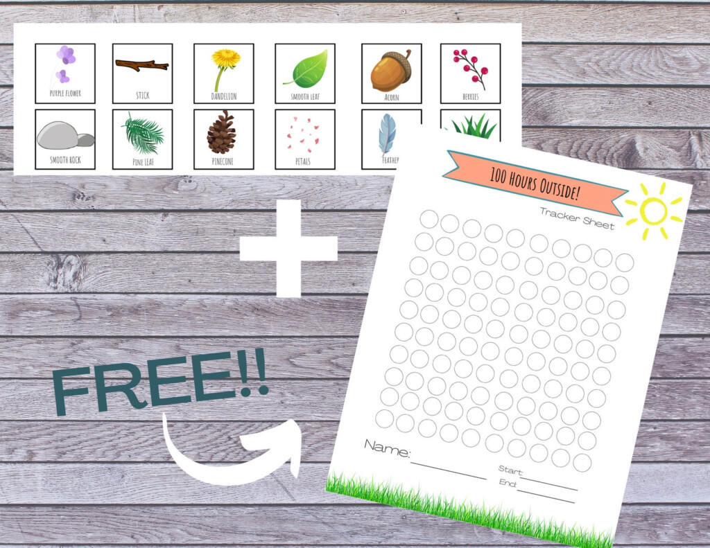 Printable Egg Carton Nature Scavenger Hunt Kids Nature Scavenger Hunt 