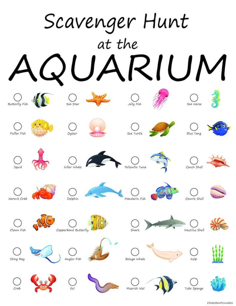 Scavenger Hunt At The Aquarium Etsy