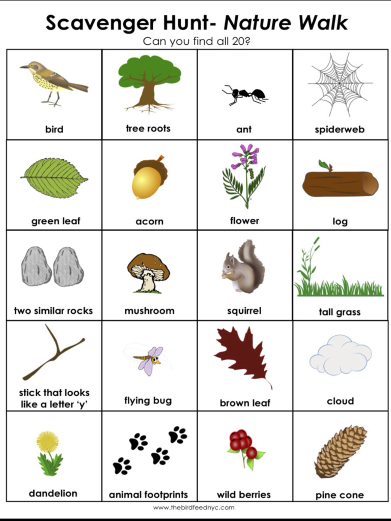 Scavenger Hunt Nature Printable