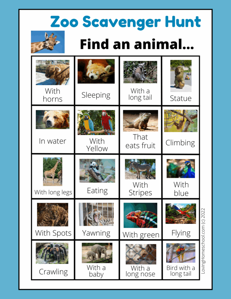Zoo Scavenger Hunt LovingHomeschool